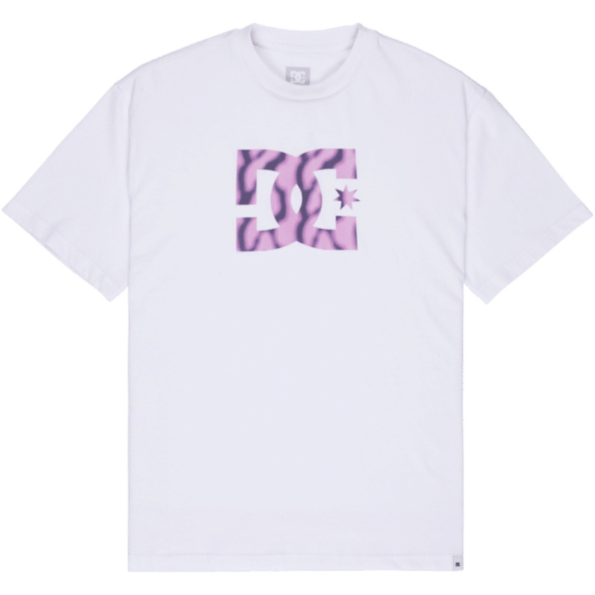 2026 DC Shoes Mens DC Star Filled T-Shirt EDYZT04503 - White